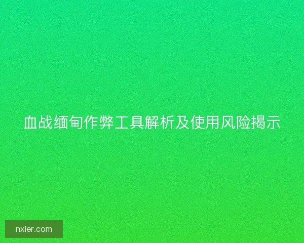 血战缅甸作弊工具解析及使用风险揭示